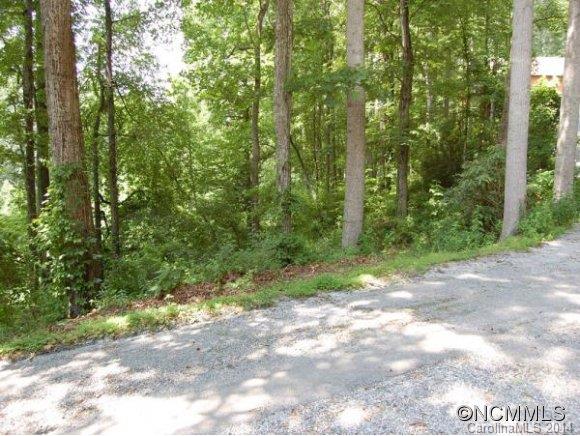 Tbd Sandy Flat Mountain Road, Unit 5 Fletcher, NC 28732 - Photo 1 of 9