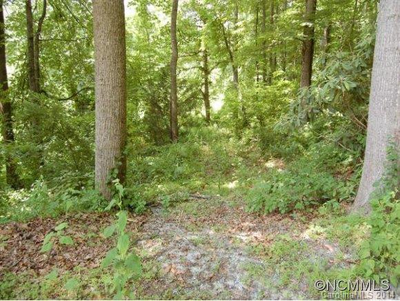 Tbd Sandy Flat Mountain Road, Unit 5 Fletcher, NC 28732 - Photo 2 of 9