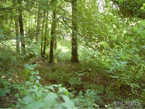 Tbd Sandy Flat Mountain Road, Unit 5 Fletcher, NC 28732 - Photo 3 of 9