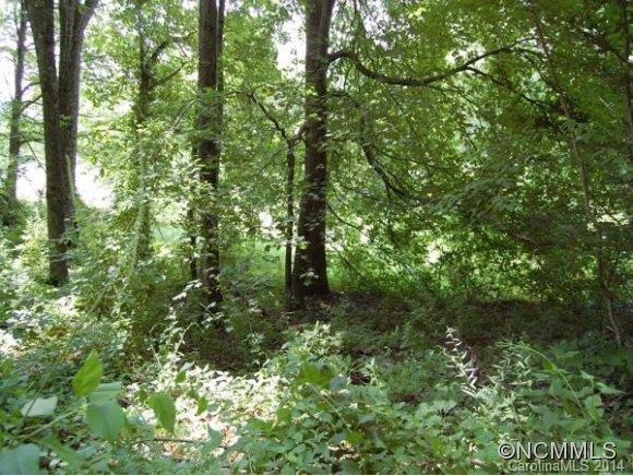 Tbd Sandy Flat Mountain Road, Unit 5 Fletcher, NC 28732 - Photo 4 of 9