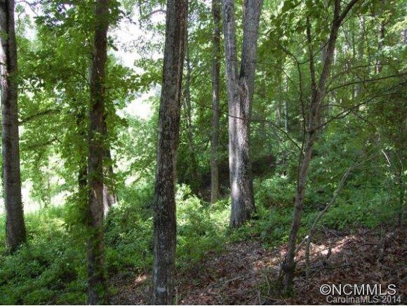 Tbd Sandy Flat Mountain Road, Unit 5 Fletcher, NC 28732 - Photo 5 of 9