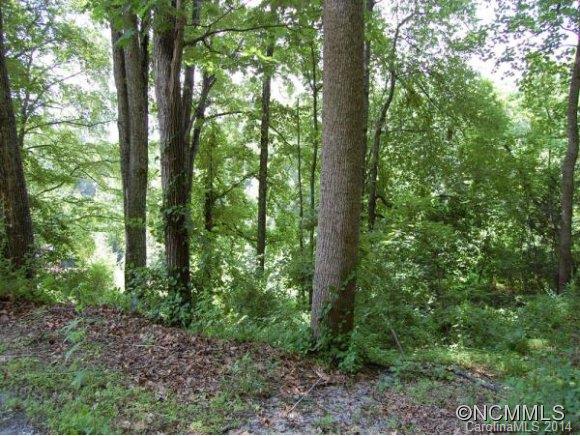 Tbd Sandy Flat Mountain Road, Unit 5 Fletcher, NC 28732 - Photo 6 of 9