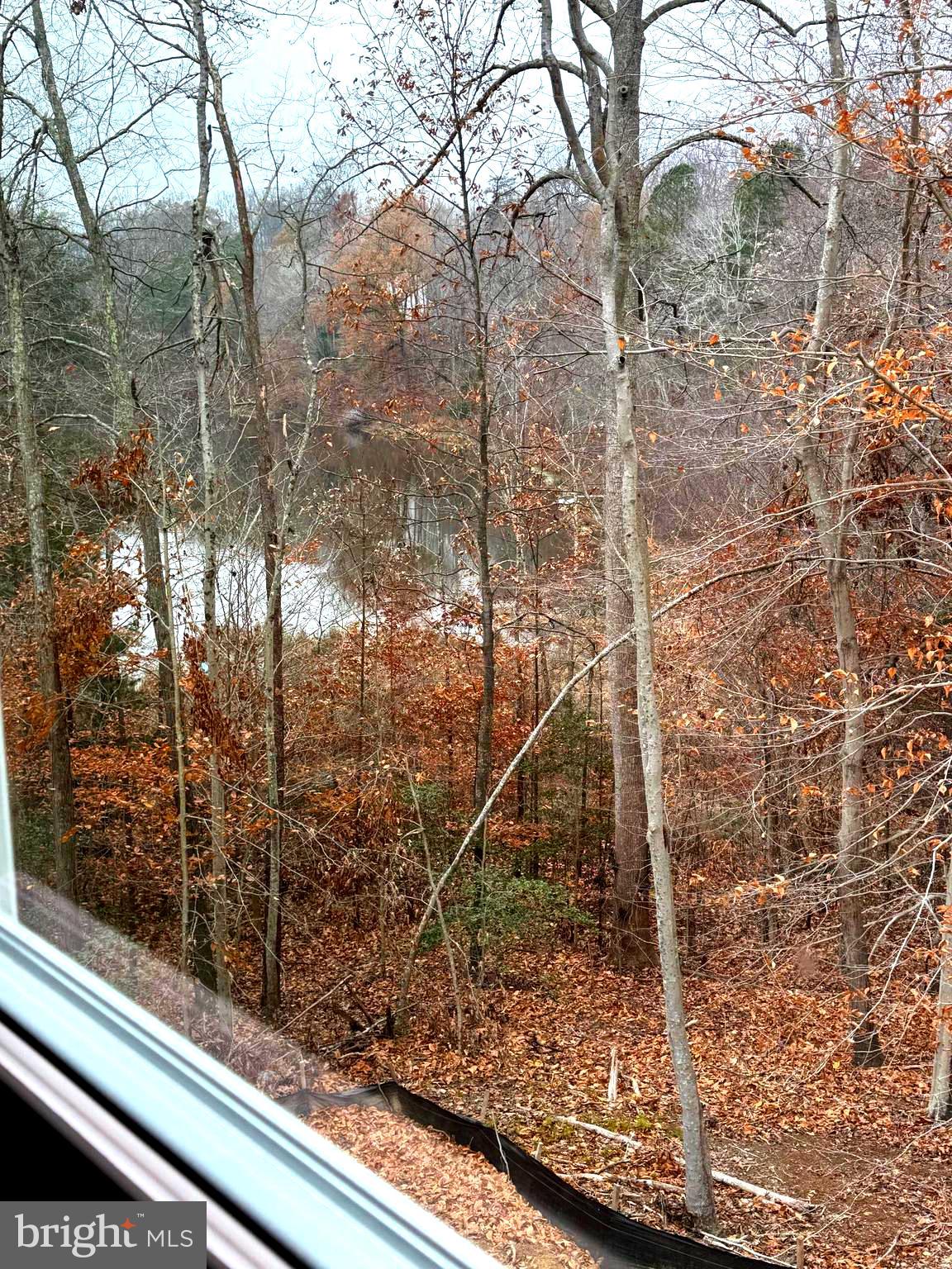 149 Morton Circle King George, VA 22485 - Photo 12 of 18 a view of a yard from a window