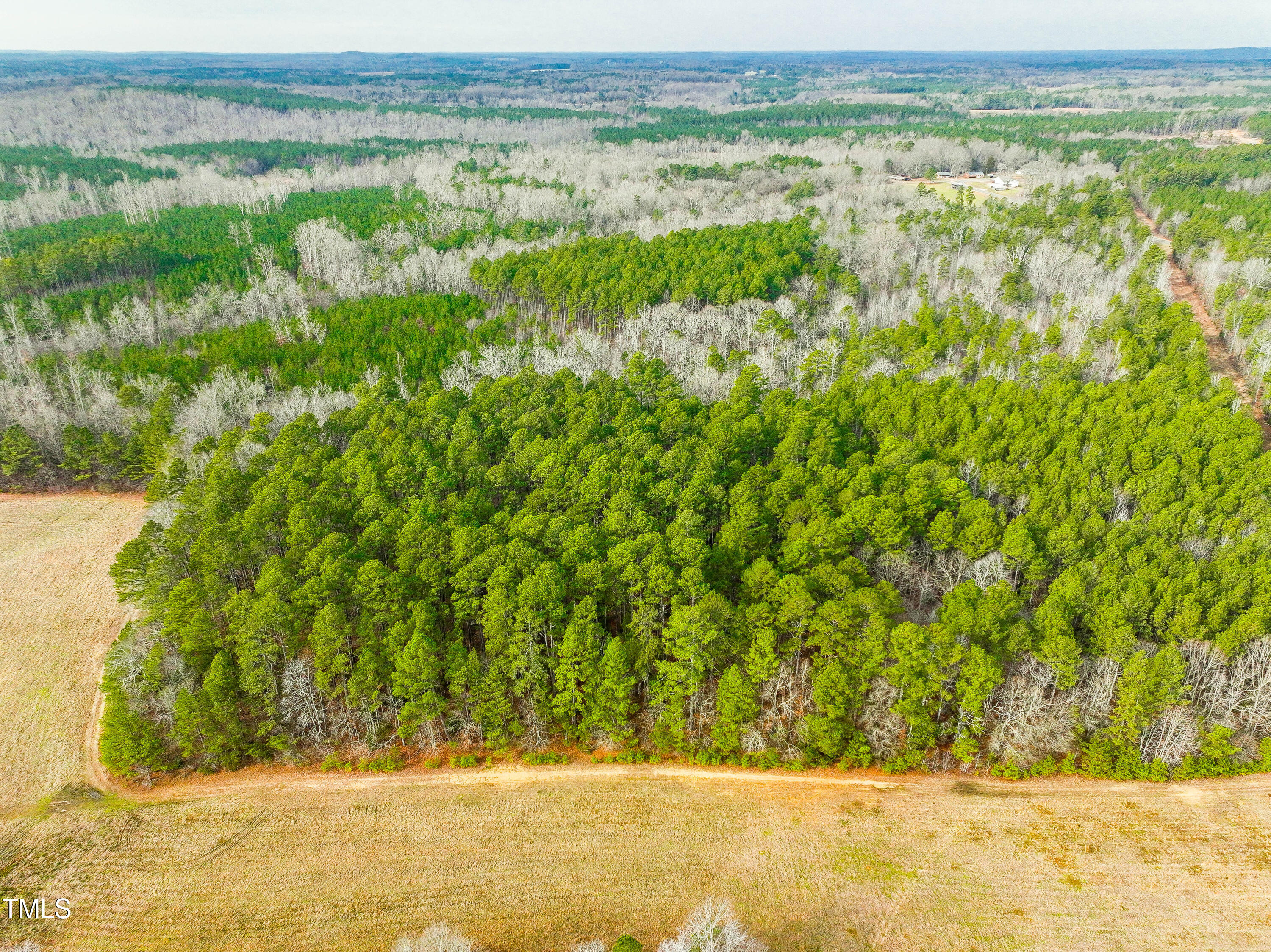 120 Rabbit Patch Road Pittsboro, NC 27312 - Photo 9 of 16 10-049-Chatham-Parcel-76312-Tract3-120Ra