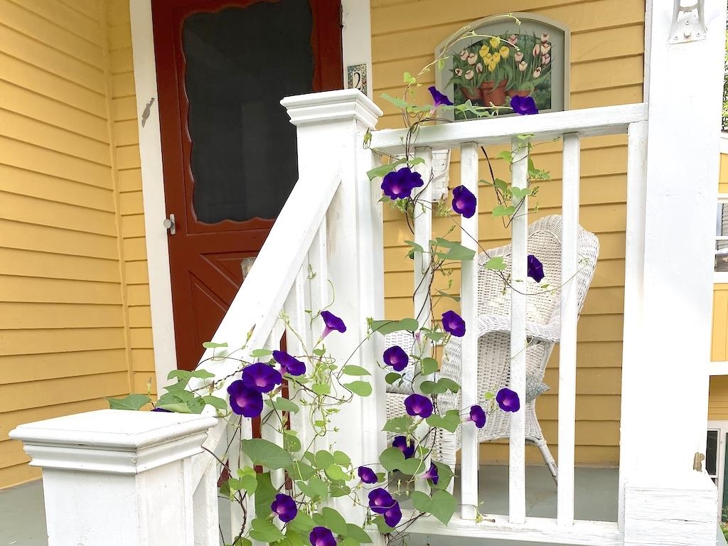 27 Pine Street Peterborough, NH 03458 - Photo 3 of 55