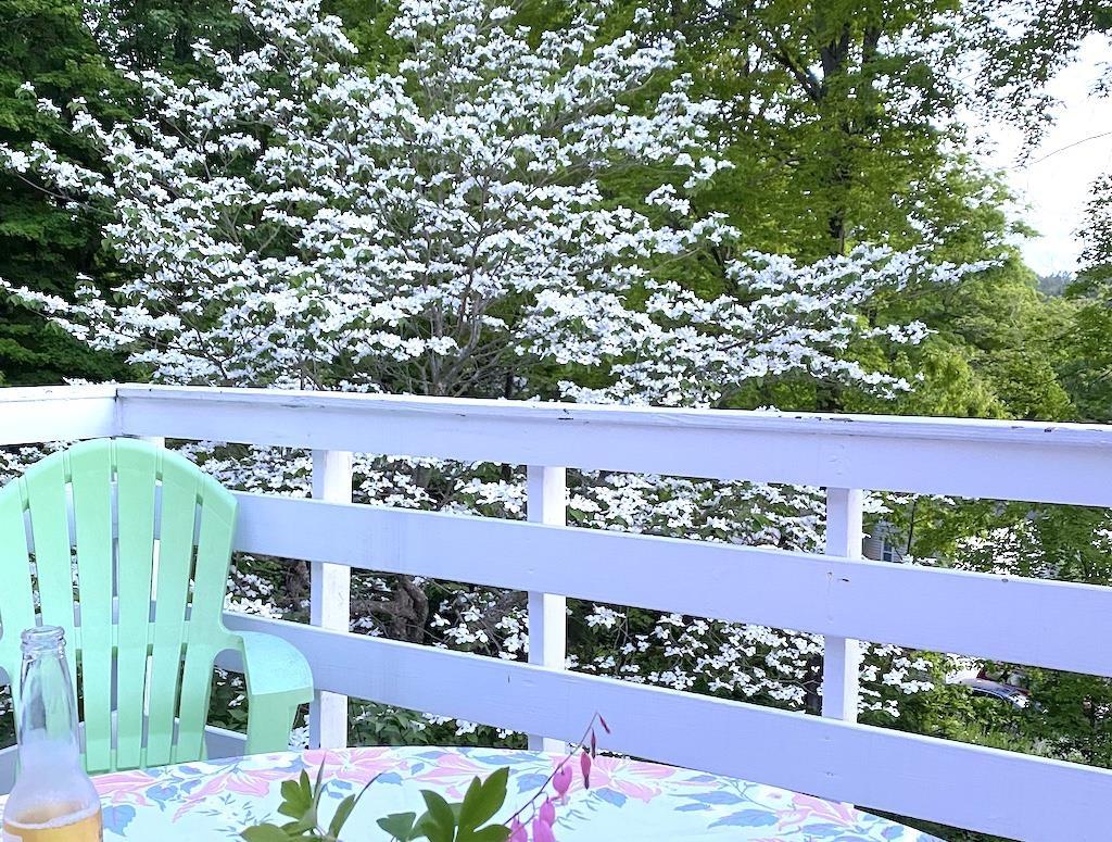 27 Pine Street Peterborough, NH 03458 - Photo 52 of 55