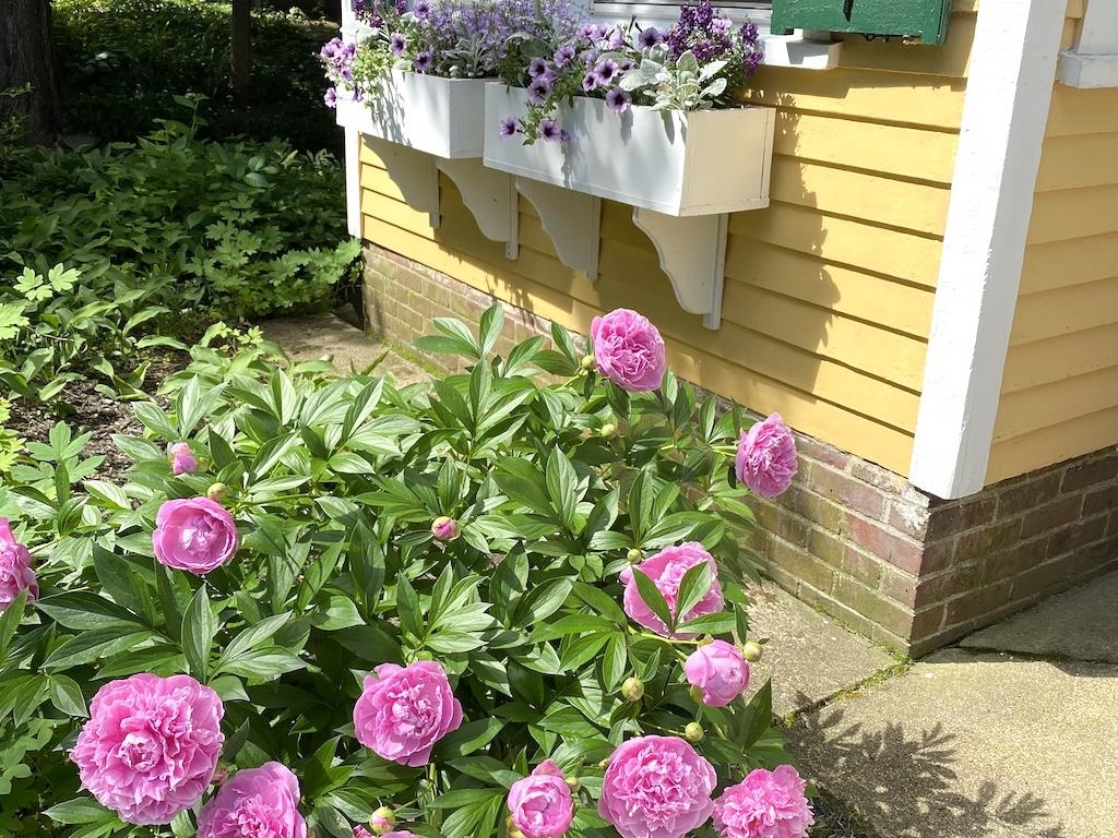 27 Pine Street Peterborough, NH 03458 - Photo 53 of 55