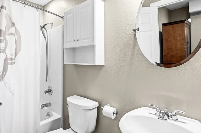 a view of a large yard with large trees