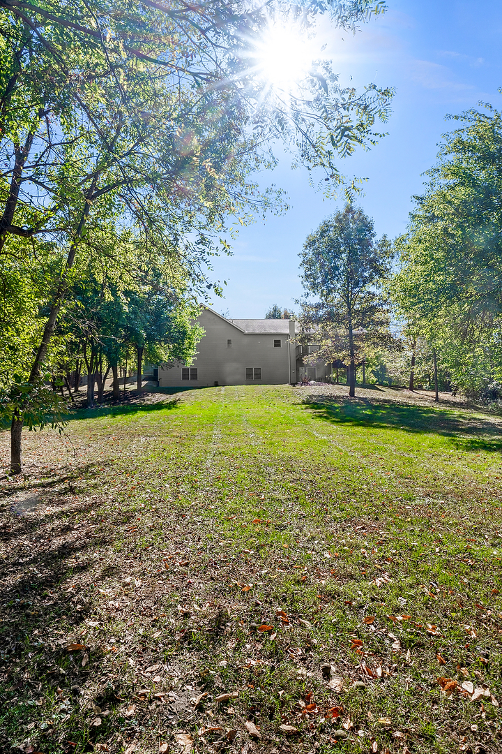 2296 Deer Ridge Court Carlock, IL 61725 - Photo 49 of 59 a view of a large yard with large trees