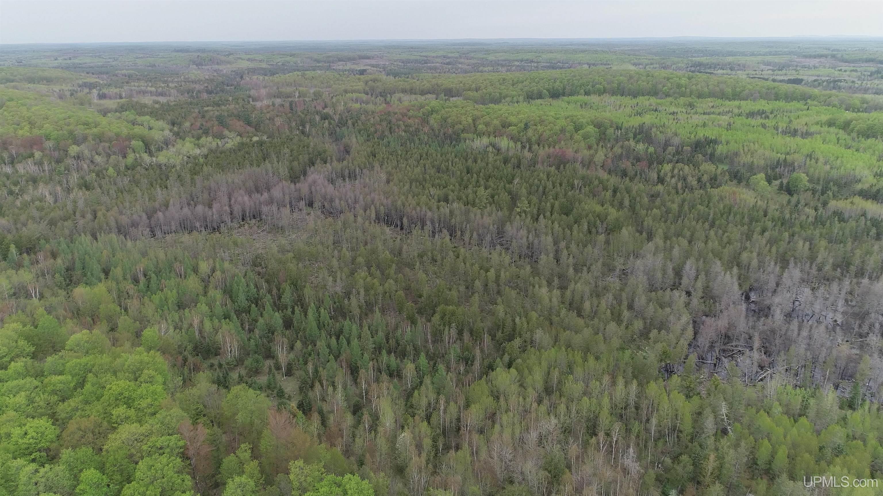 9 Rd Foster City Mi 49834 Road Felch, MI 49831 - Photo 13 of 32
