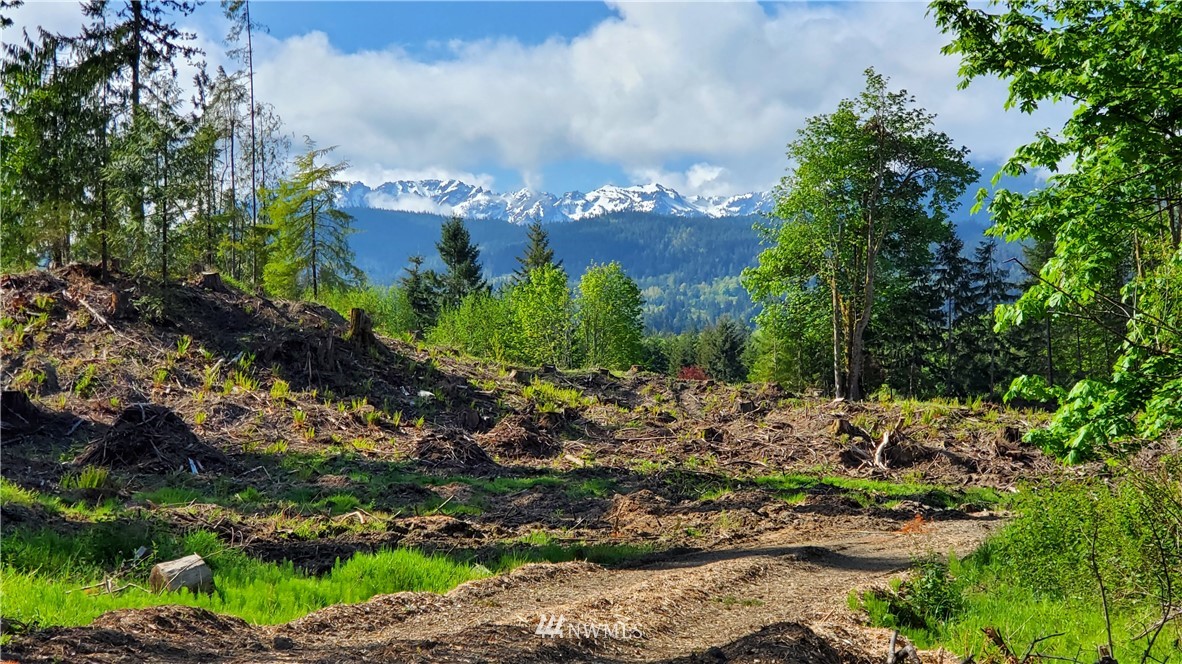9999 East Ahlvers Road Port Angeles, WA 98362 - Photo 1 of 39 Gallery Image 1