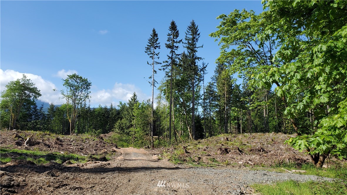 9999 East Ahlvers Road Port Angeles, WA 98362 - Photo 11 of 39 Gallery Image 11