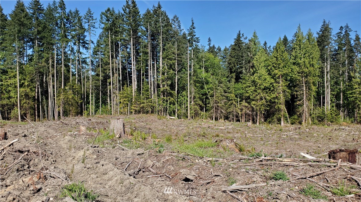 9999 East Ahlvers Road Port Angeles, WA 98362 - Photo 14 of 39 Gallery Image 14