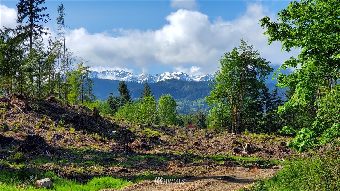 9999 East Ahlvers Road Port Angeles, WA 98362 - Photo 16 of 39 Gallery Image 16