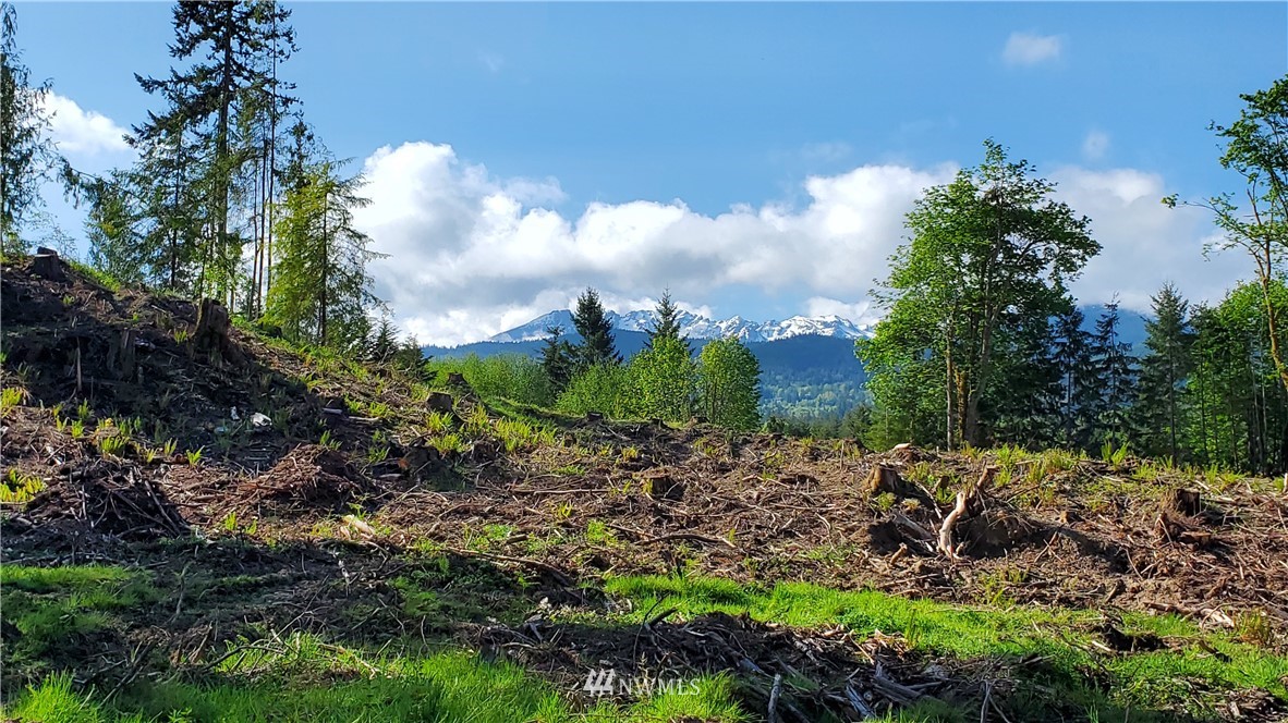 9999 East Ahlvers Road Port Angeles, WA 98362 - Photo 17 of 39 Gallery Image 17