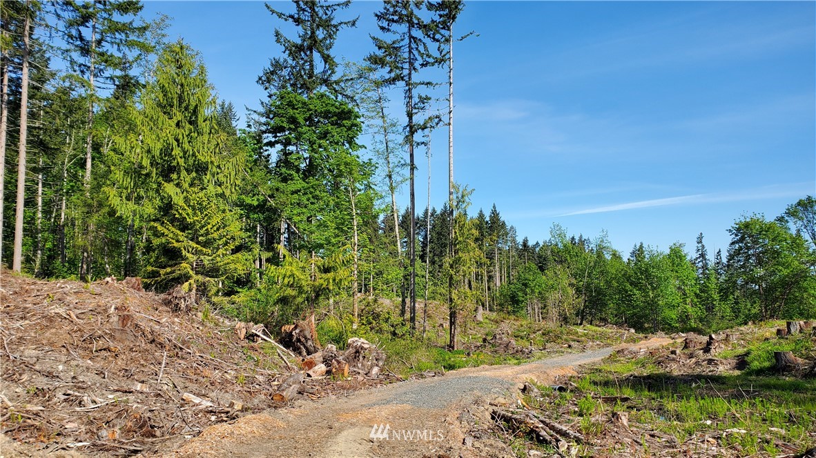 9999 East Ahlvers Road Port Angeles, WA 98362 - Photo 3 of 39 Gallery Image 3