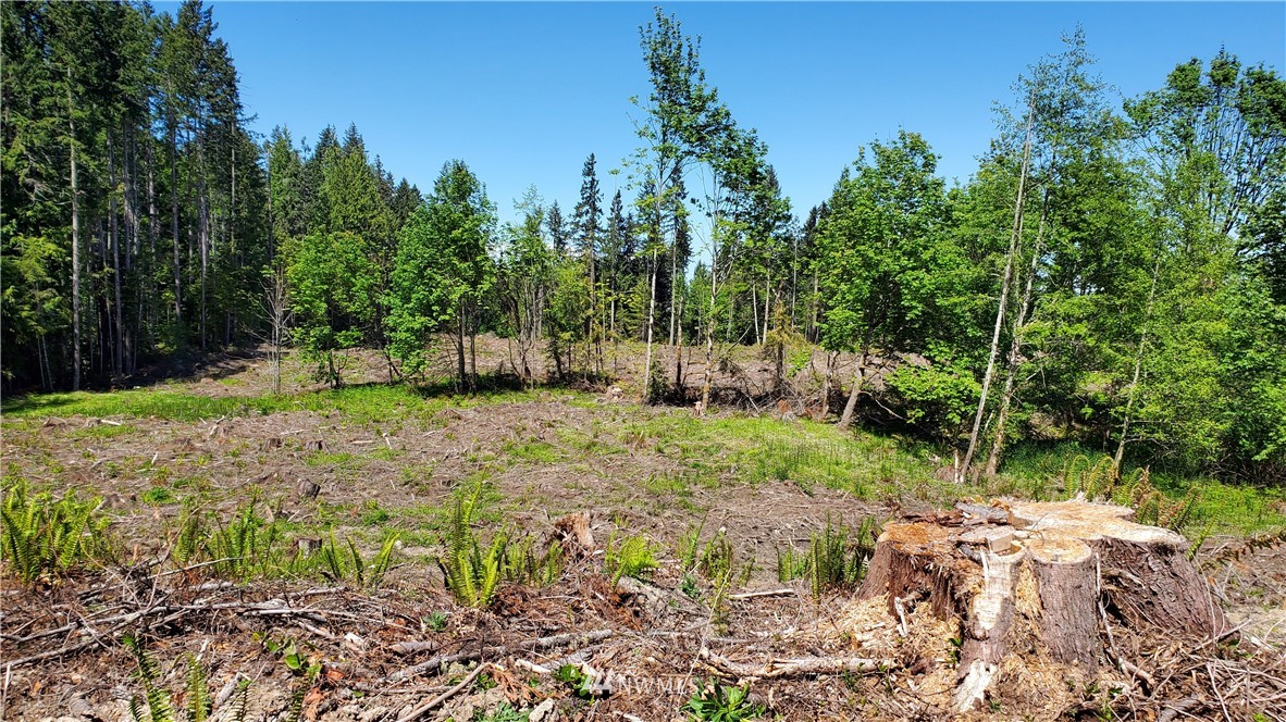 9999 East Ahlvers Road Port Angeles, WA 98362 - Photo 21 of 39 Gallery Image 21