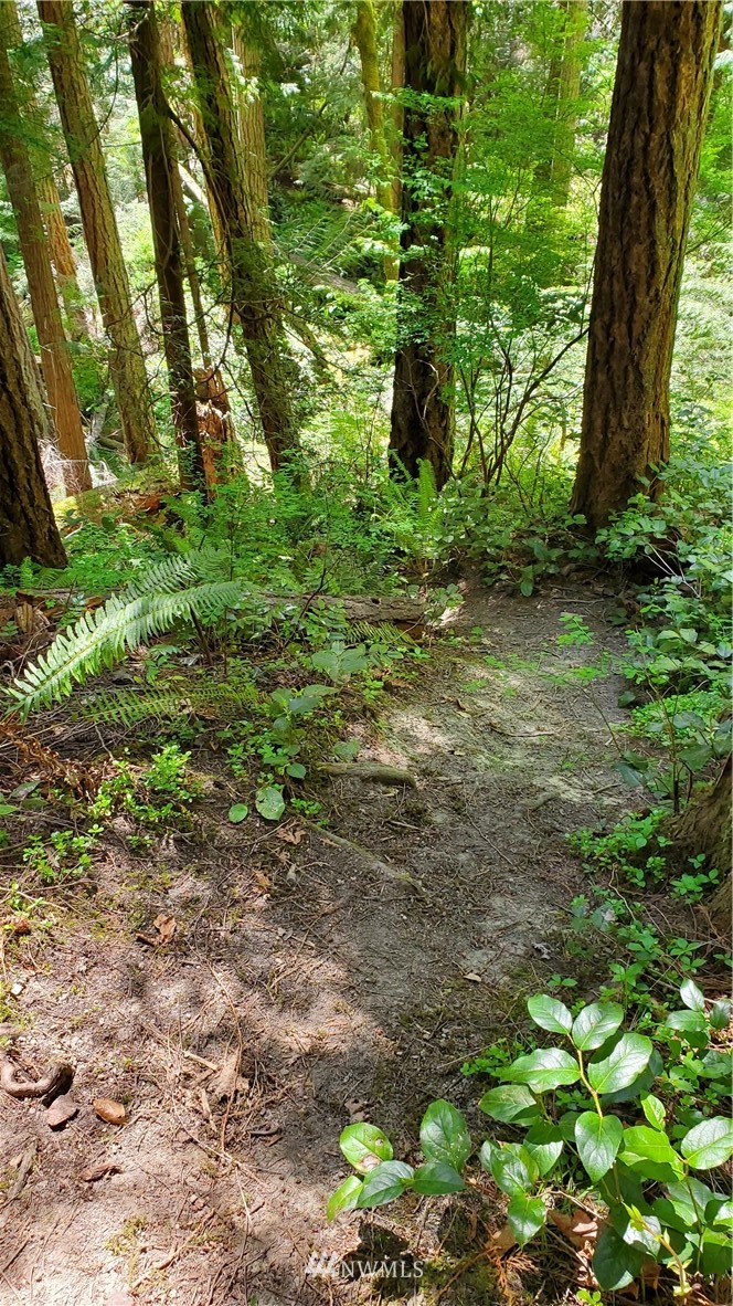 9999 East Ahlvers Road Port Angeles, WA 98362 - Photo 29 of 39 Gallery Image 29