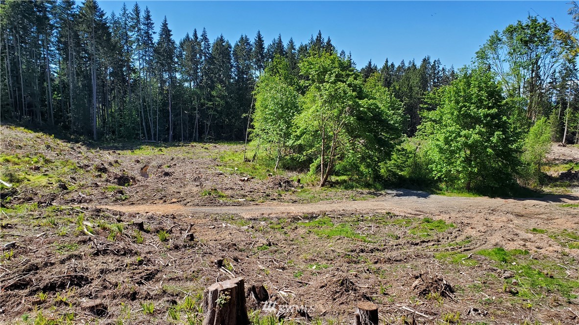 9999 East Ahlvers Road Port Angeles, WA 98362 - Photo 36 of 39 Gallery Image 36