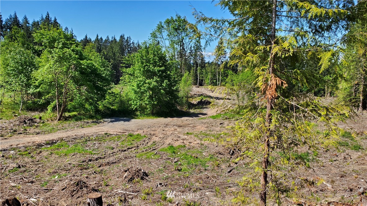 9999 East Ahlvers Road Port Angeles, WA 98362 - Photo 37 of 39 Gallery Image 37