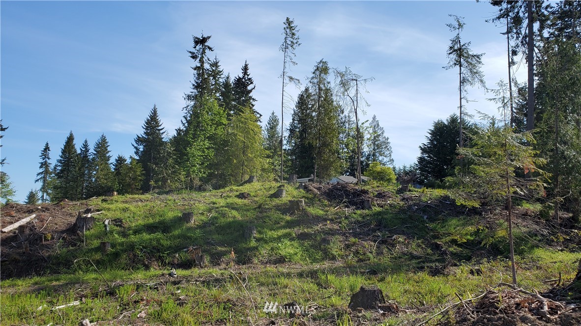 9999 East Ahlvers Road Port Angeles, WA 98362 - Photo 5 of 39 Gallery Image 5
