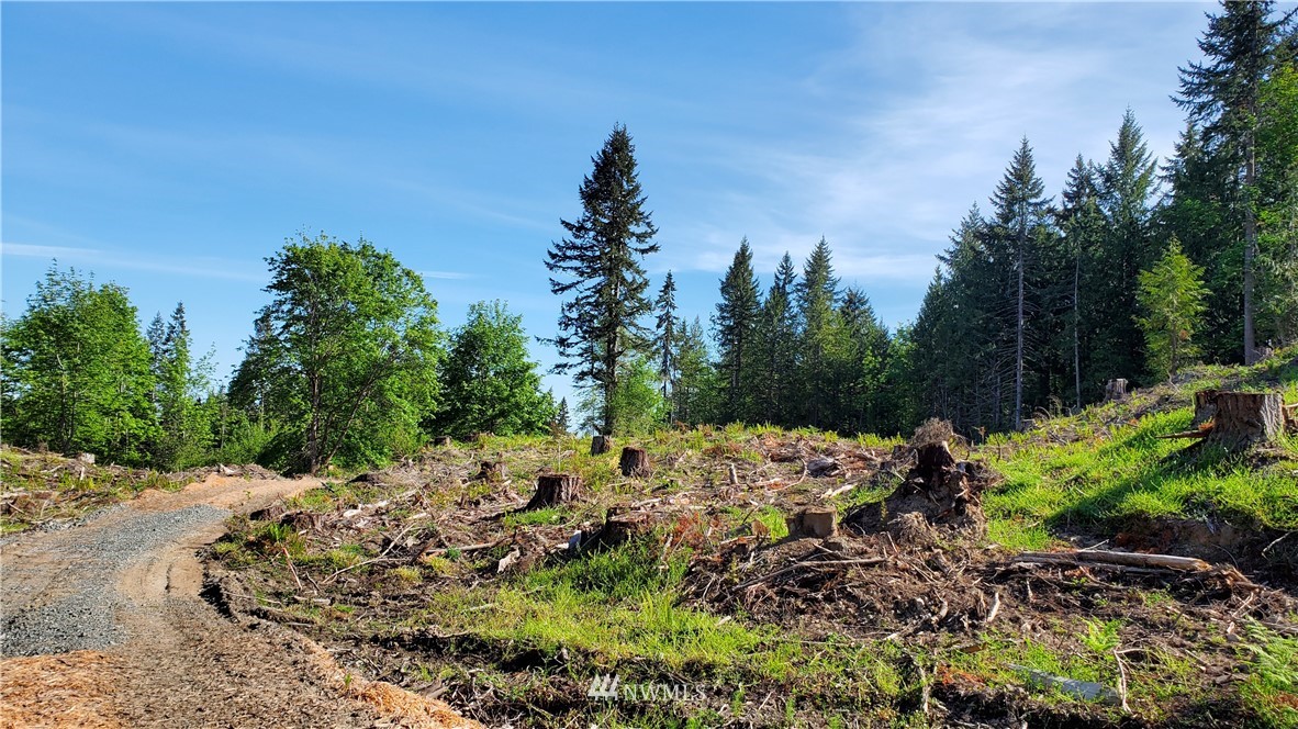 9999 East Ahlvers Road Port Angeles, WA 98362 - Photo 7 of 39 Gallery Image 7