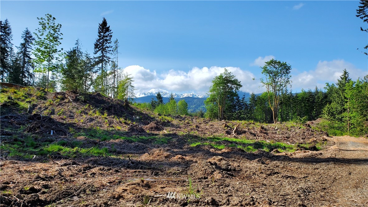 9999 East Ahlvers Road Port Angeles, WA 98362 - Photo 10 of 39 Gallery Image 10