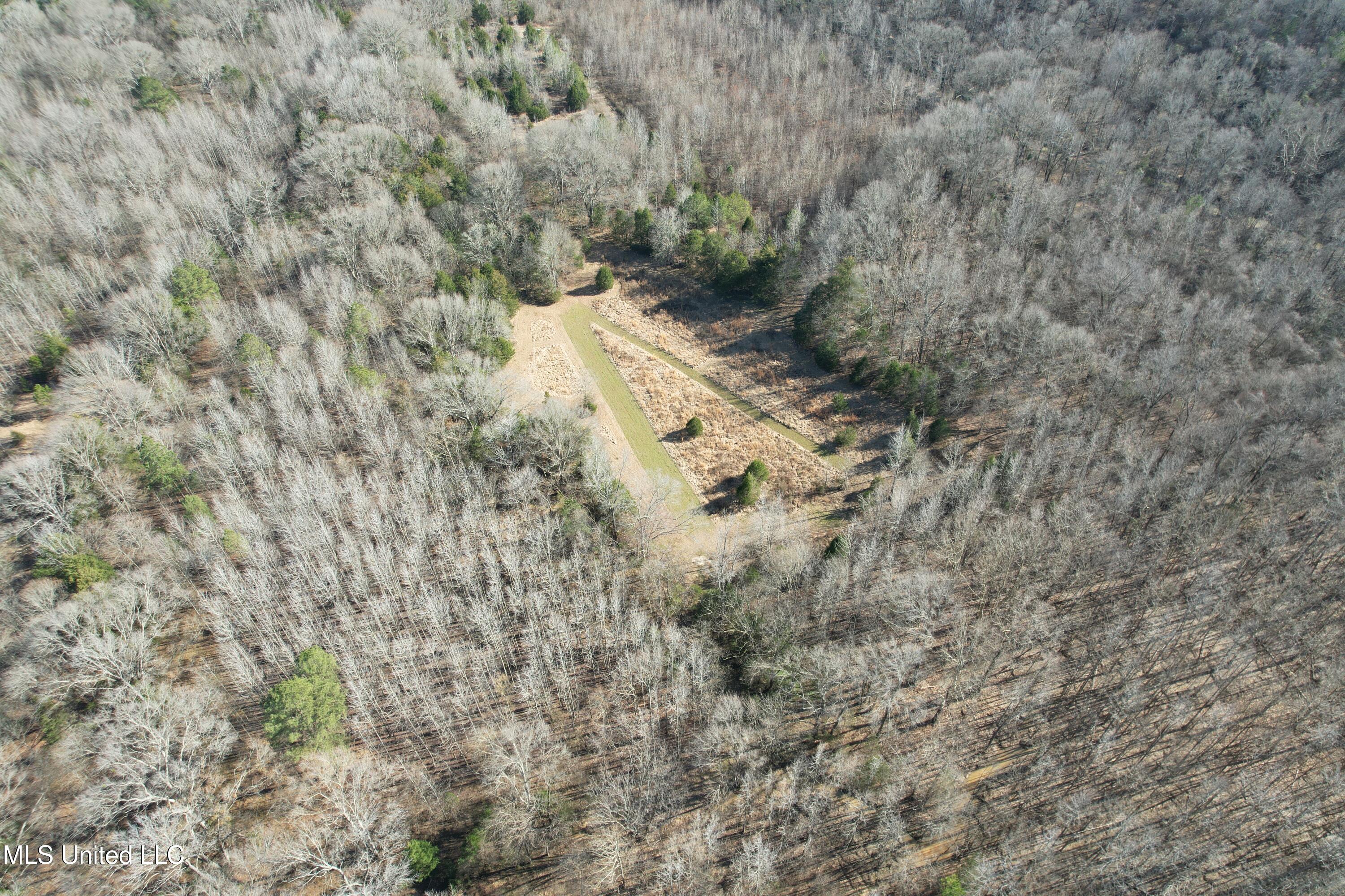 Robinson Springs Road Flora, MS 39071 - Photo 2 of 22 DJI_0598