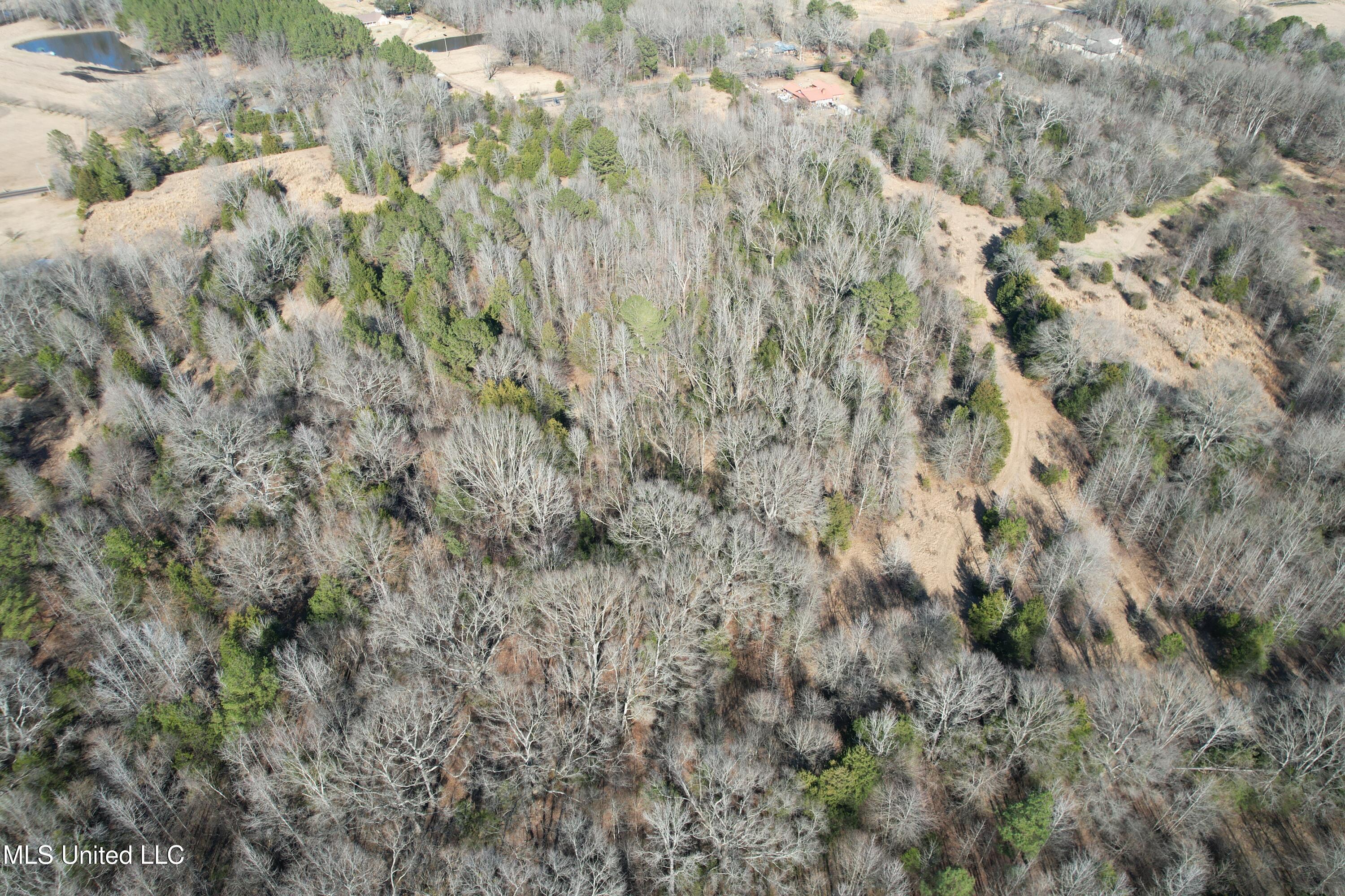 Robinson Springs Road Flora, MS 39071 - Photo 3 of 22 DJI_0599