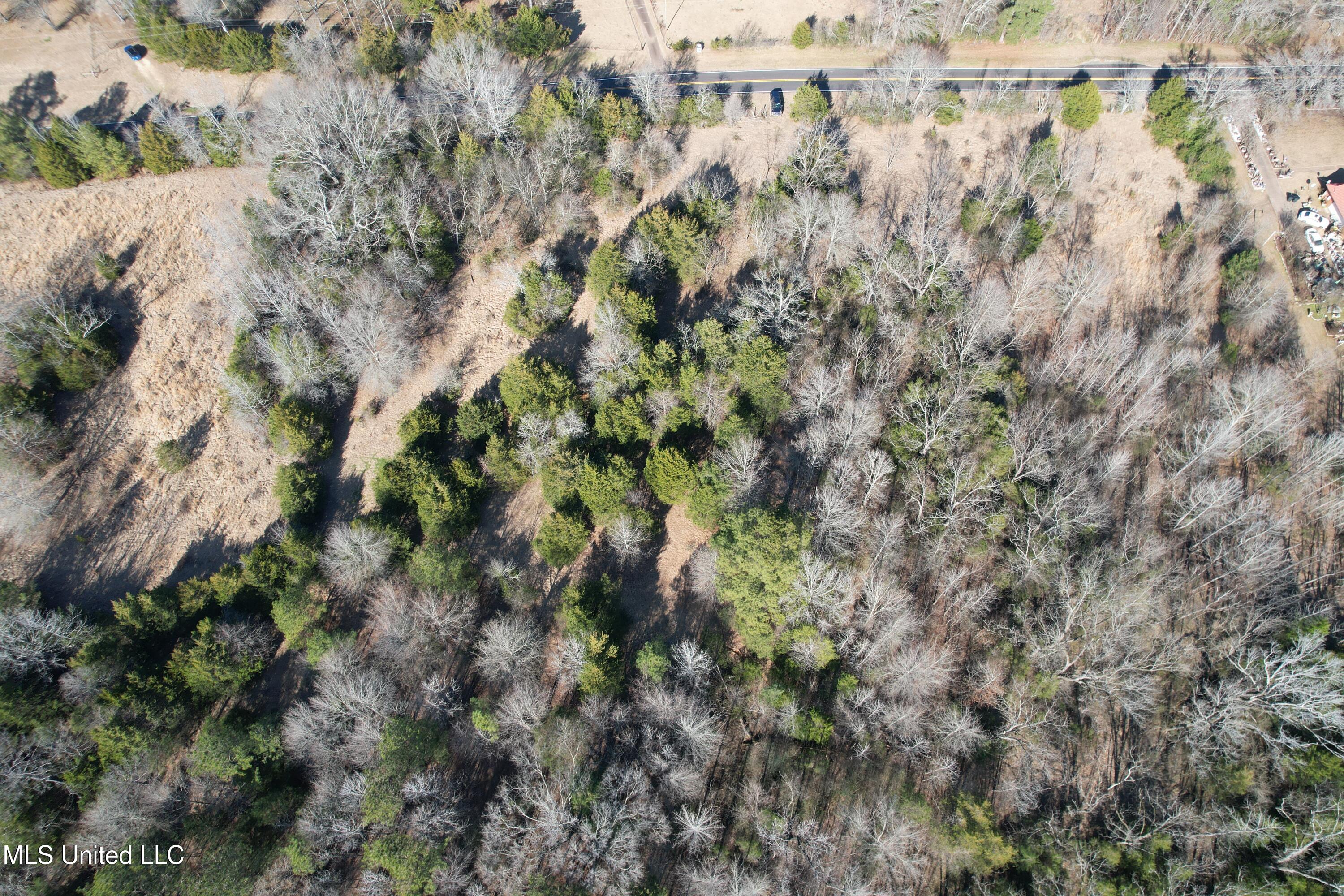 Robinson Springs Road Flora, MS 39071 - Photo 4 of 22 DJI_0600