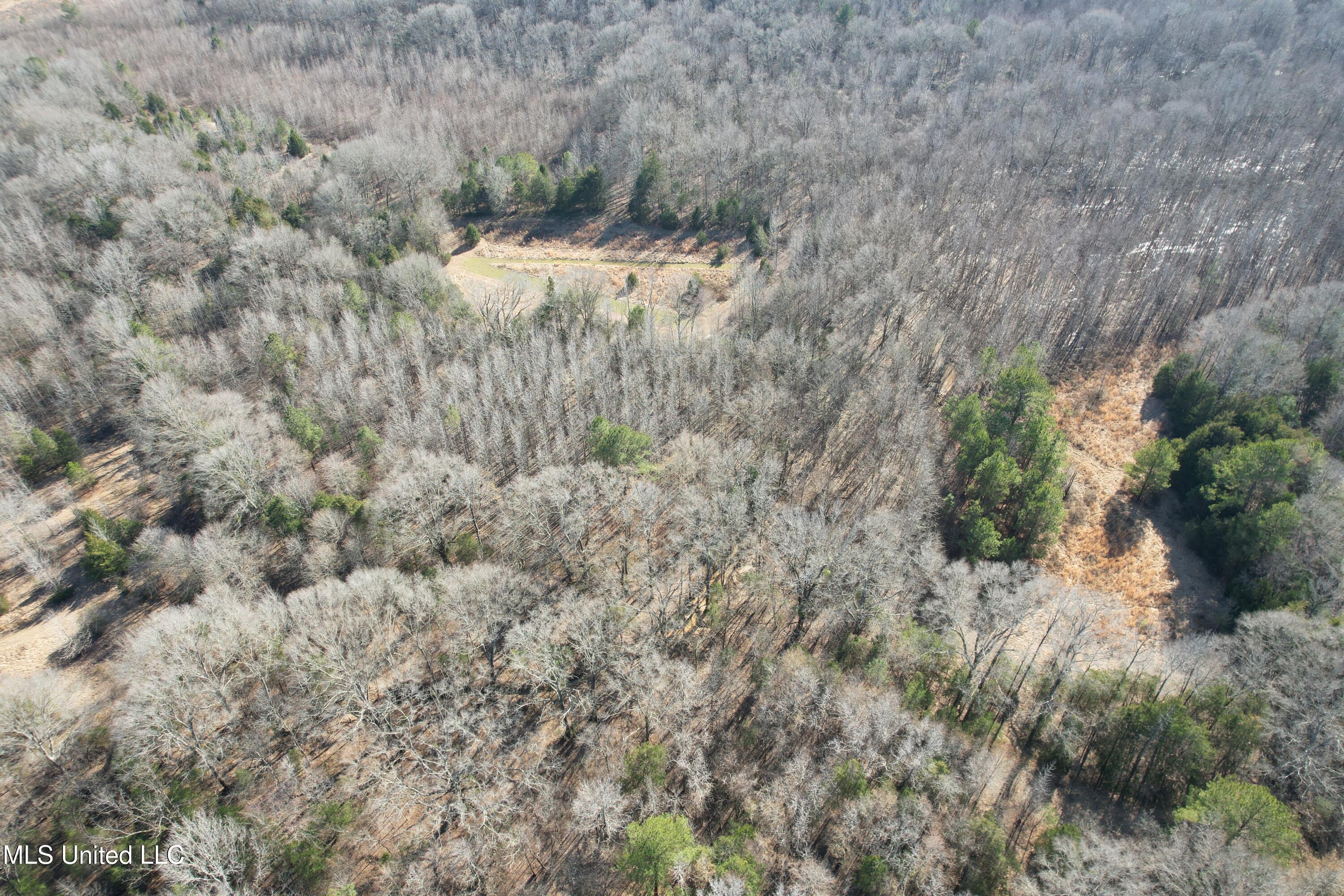 Robinson Springs Road Flora, MS 39071 - Photo 5 of 22 DJI_0597