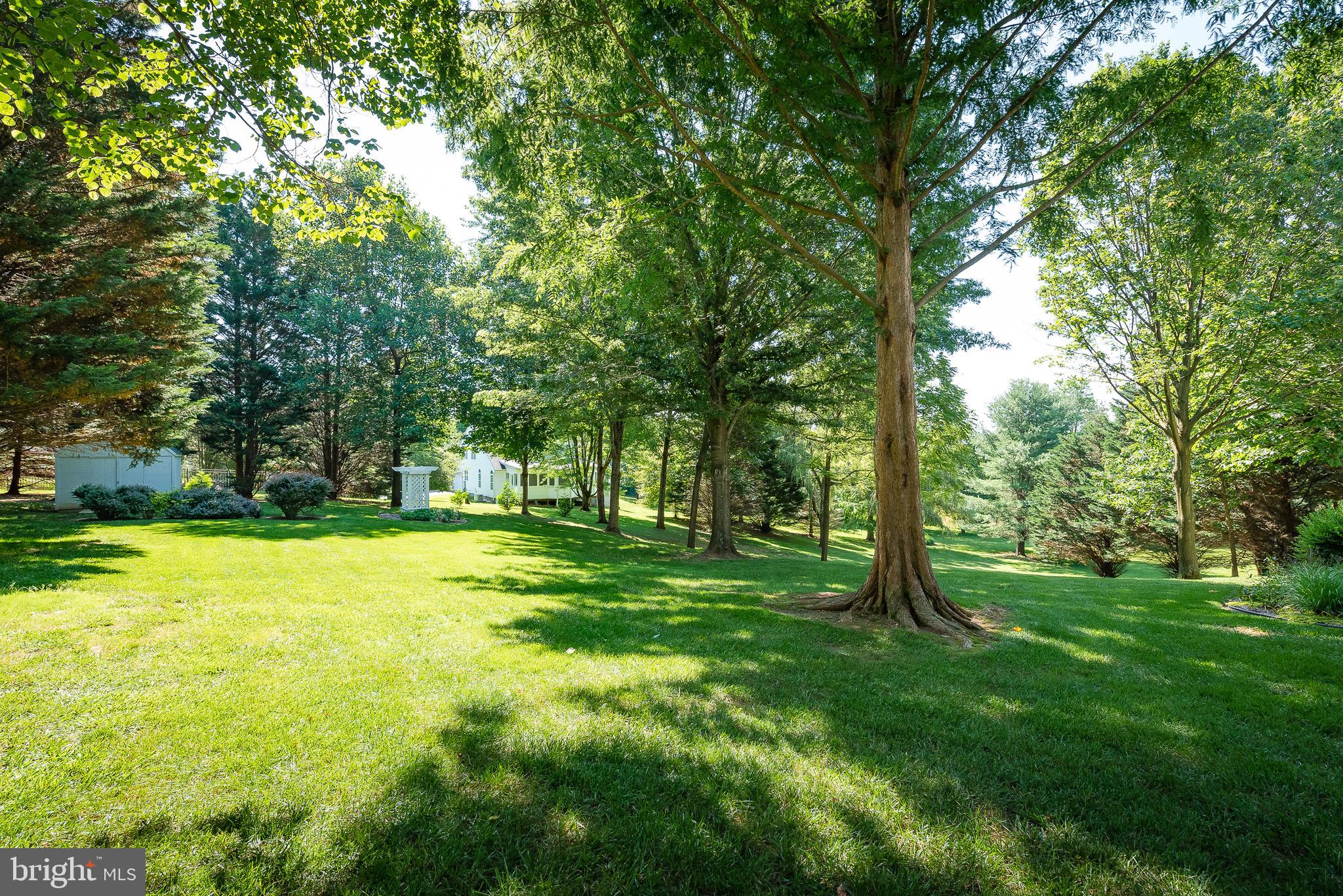 1699 Campbell Road Forest Hill, MD 21050 - Photo 50 of 60 Back Yard