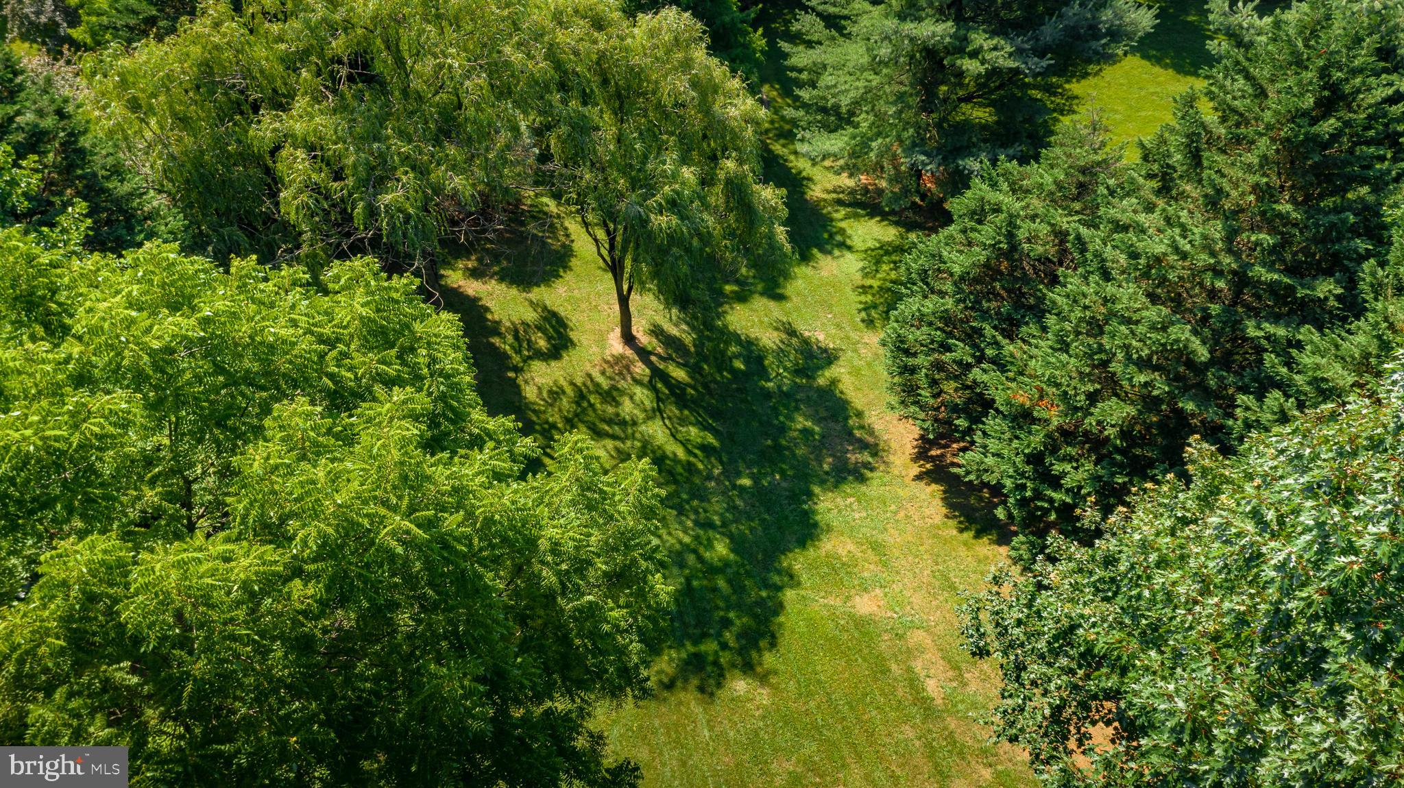 1699 Campbell Road Forest Hill, MD 21050 - Photo 55 of 60 Aerial View