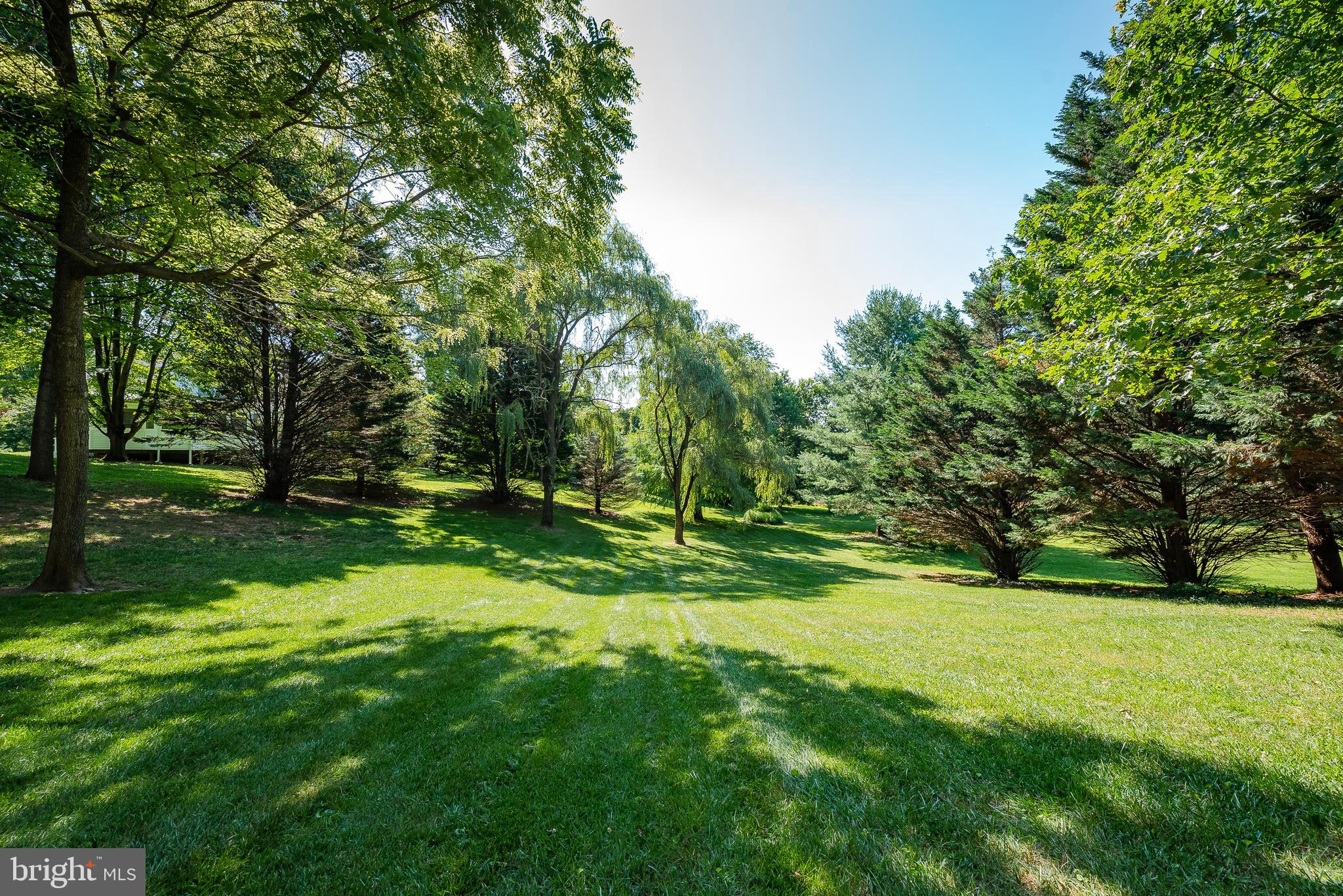 1699 Campbell Road Forest Hill, MD 21050 - Photo 60 of 60 Back Yard