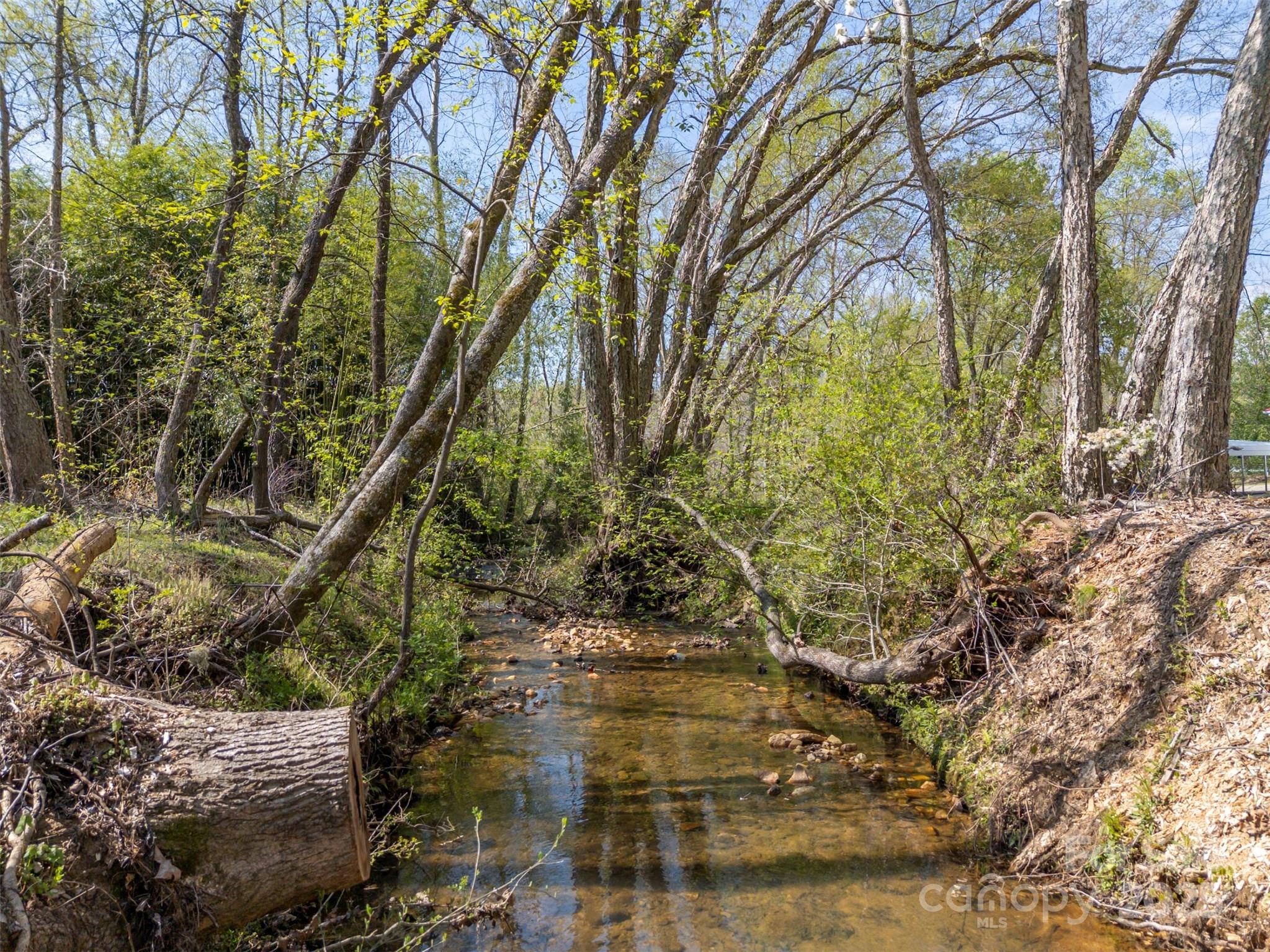 3114 Bostic Sunshine Highway Bostic, NC 28018 - Photo 40 of 48 a view of a yard with plants and large trees