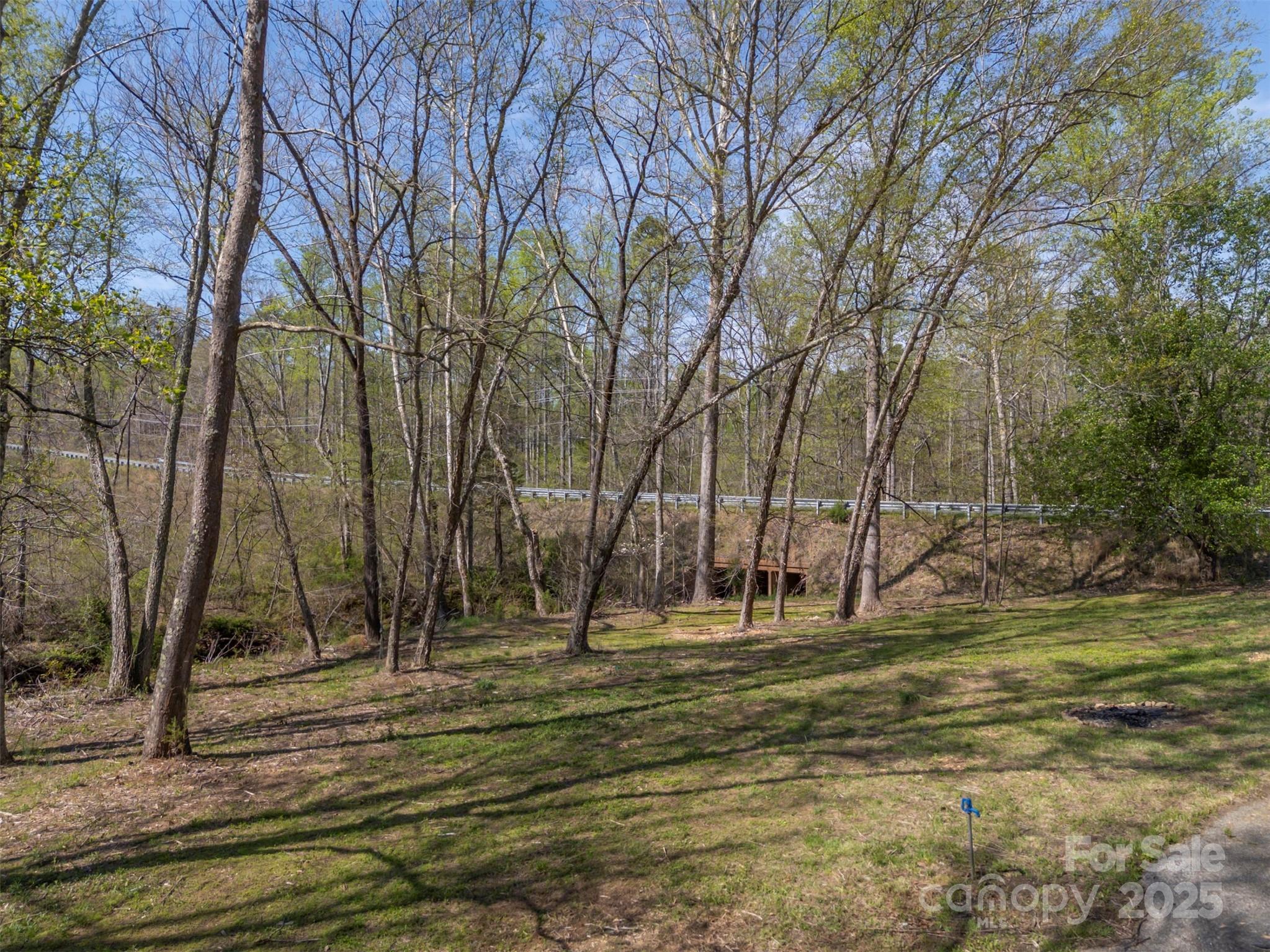 3114 Bostic Sunshine Highway Bostic, NC 28018 - Photo 41 of 48 a yard with trees in the background