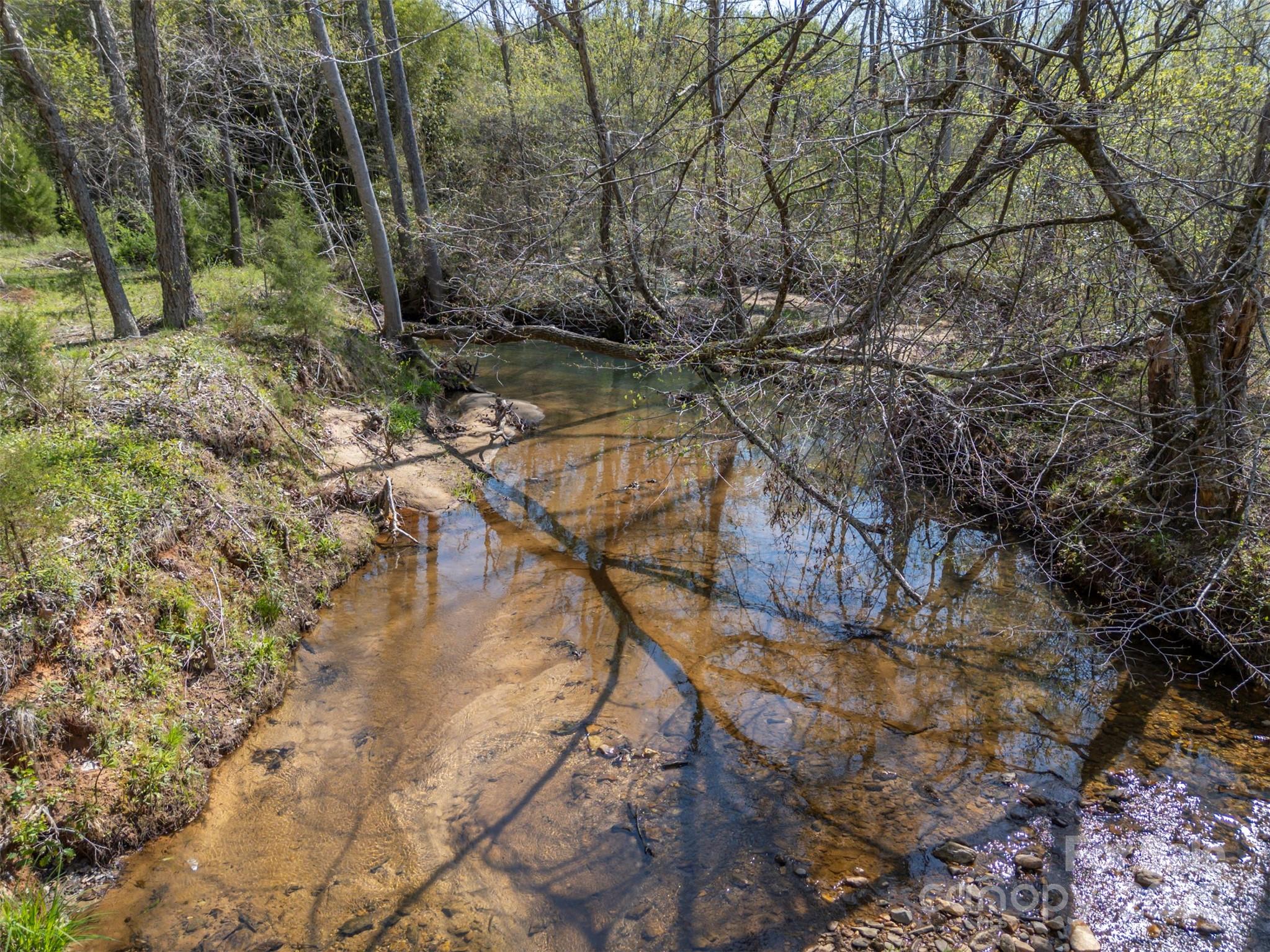 3114 Bostic Sunshine Highway Bostic, NC 28018 - Photo 42 of 48 a backyard of a house with lots of green space