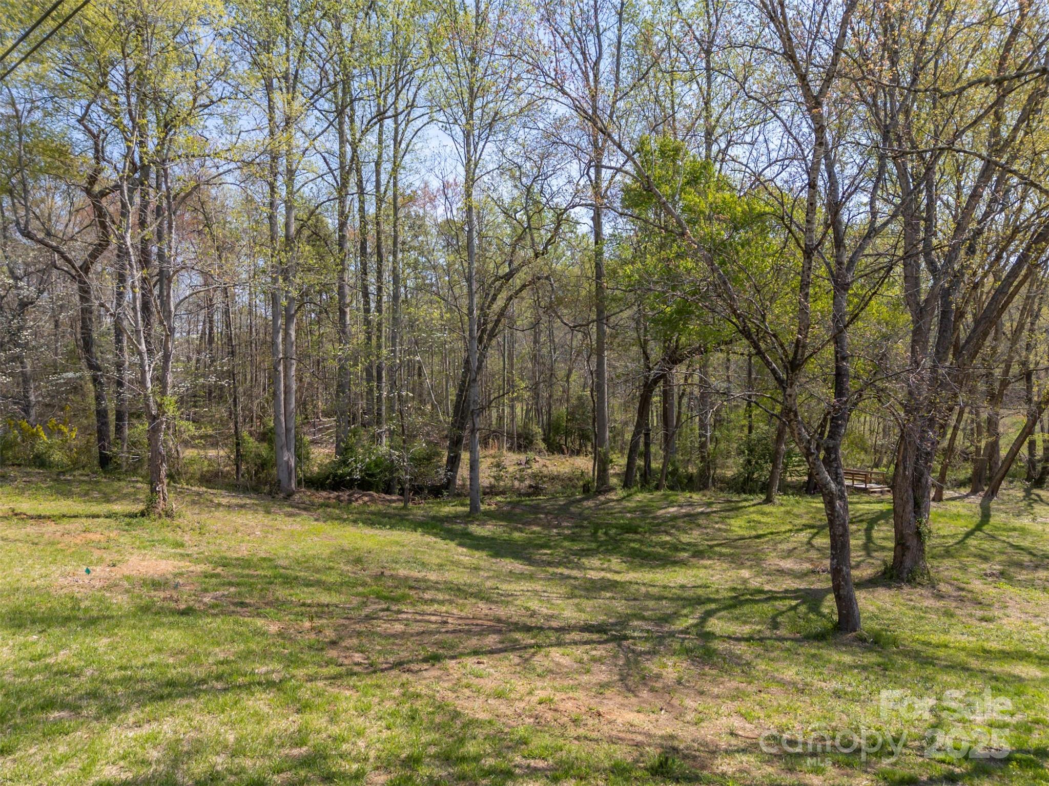 3114 Bostic Sunshine Highway Bostic, NC 28018 - Photo 43 of 48 a view of a yard with large trees