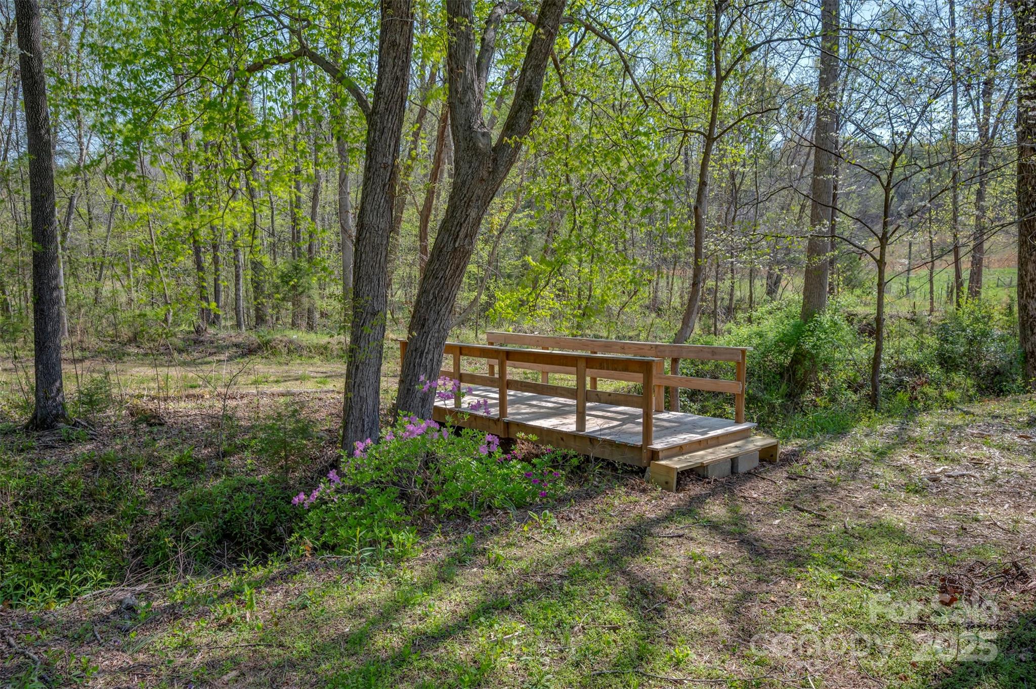 3114 Bostic Sunshine Highway Bostic, NC 28018 - Photo 44 of 48 a view of a backyard with large trees and plants