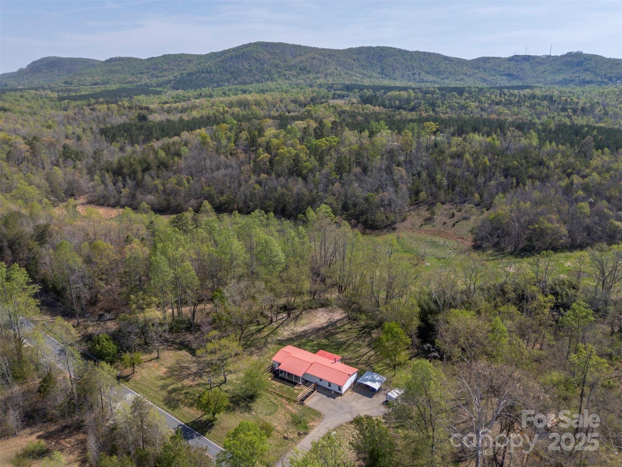 3114 Bostic Sunshine Highway Bostic, NC 28018 - Photo 47 of 48 a view of mountain with outdoor space
