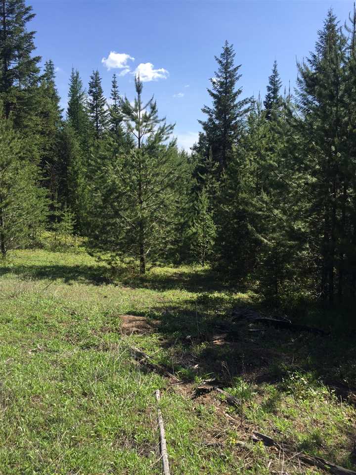 0 East Fork Leclerc Road Cusick, WA 99119 - Photo 11 of 20 Gallery Image 11