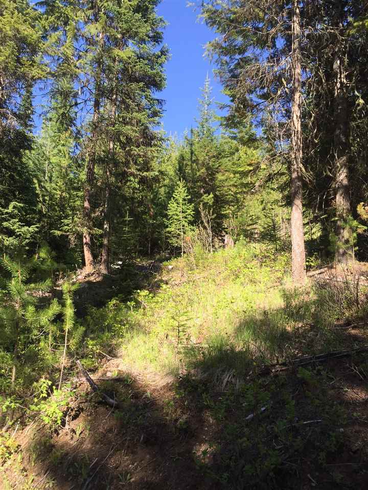 0 East Fork Leclerc Road Cusick, WA 99119 - Photo 15 of 20 Gallery Image 15