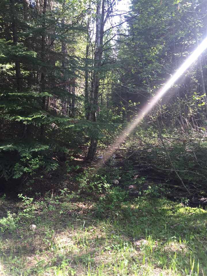 0 East Fork Leclerc Road Cusick, WA 99119 - Photo 16 of 20 Gallery Image 16
