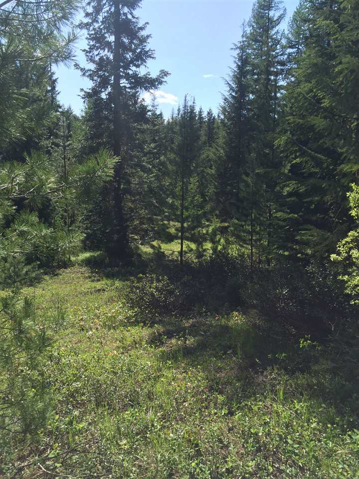 0 East Fork Leclerc Road Cusick, WA 99119 - Photo 10 of 20 Gallery Image 10