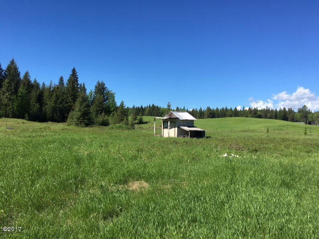 214 Hearns Road Trego, MT 59934 - Photo 12 of 22 Gallery Image 12