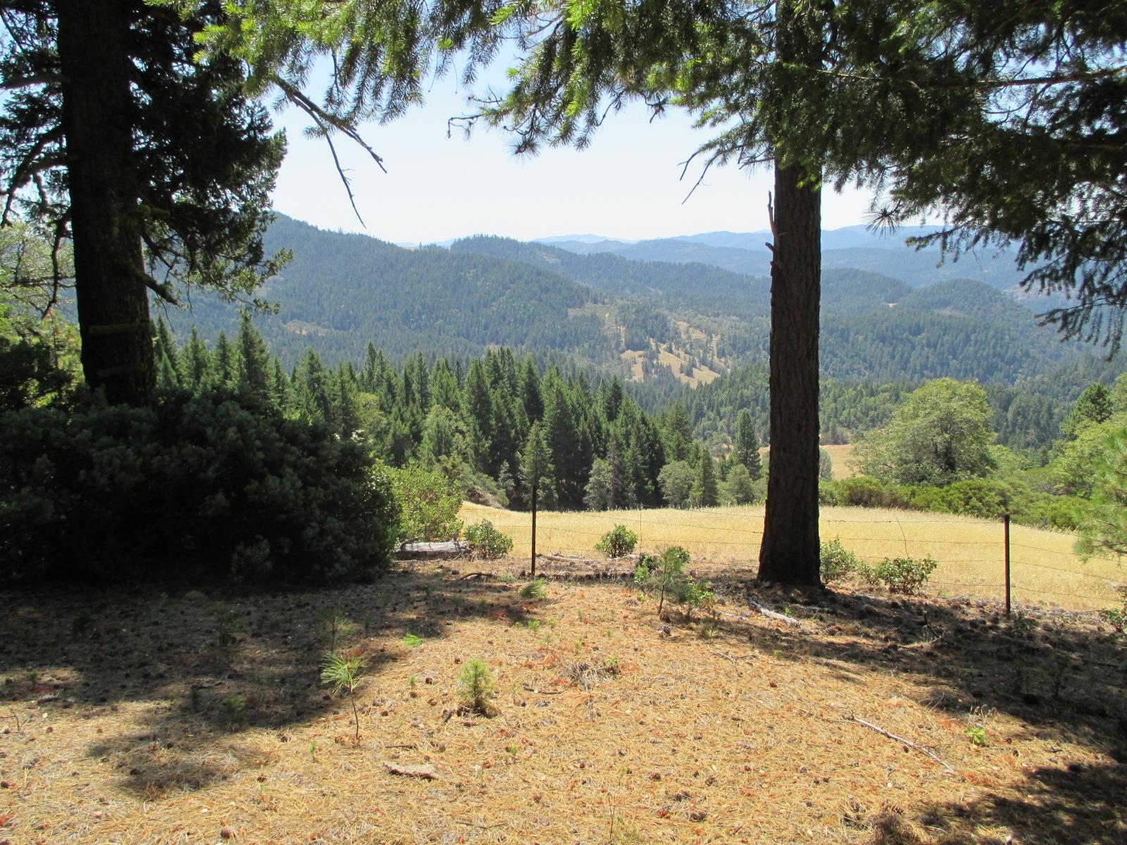 0 Forest Service 2s05 Road Mad River, CA 95552 - Photo 2 of 12 Gallery Image 2