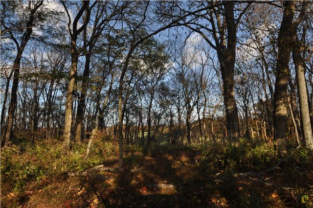 1 French Brantley Road Wartrace, TN 37183 - Photo 3 of 6
