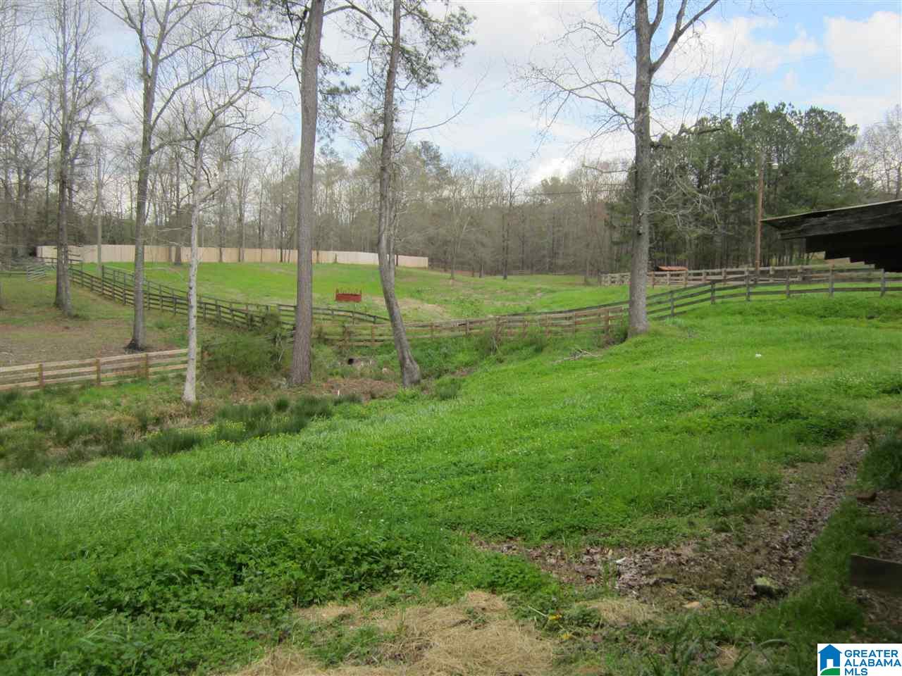 8460 Wolf Creek Road South Pell City, AL 35128 - Photo 33 of 49