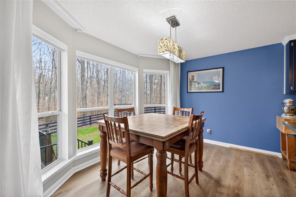 241 Staghorn Trail Nicholson, GA 30565 - Photo 18 of 95