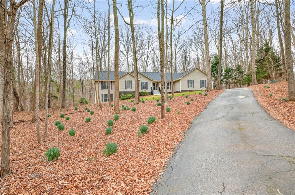 241 Staghorn Trail Nicholson, GA 30565 - Photo 66 of 95